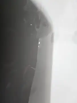 gordito xx online show from 02-22-25, 03:47