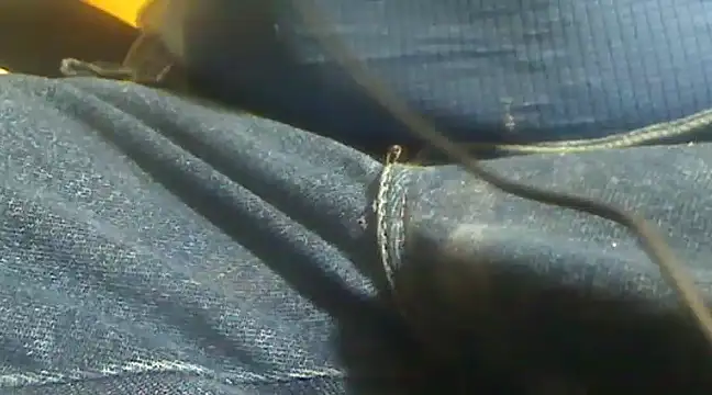 Snapshot of markluvskitty chatting on 02-10-25, 04:14 markluvskitty online show from 02-10-25, 04:14