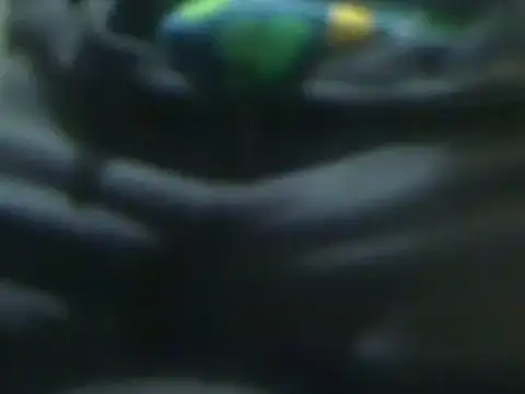 Snapshot of markluvskitty chatting on 03-14-25, 01:24 markluvskitty online show from 03-14-25, 01:24