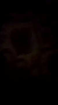 Snapshot of WreckedCrop chatting on 03-02-25, 08:29 WreckedCrop online show from 03-02-25, 08:29