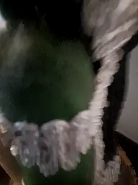 Snapshot of Honey-420- chatting on 10-31-25, 01:06 Honey-420- online show from 10-31-25, 01:06