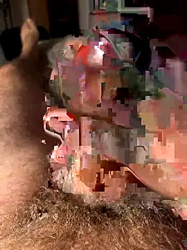 francoers online show from 10-16-25, 11:17