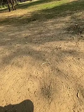 Snapshot of Cum_on_your_tityyy chatting on 01-13-26, 09:03 Cum on your tityyy online show from 01-13-26, 09:03