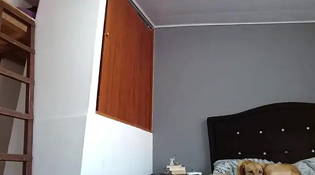 Snapshot of Emilia_1995 chatting on 02-28-25, 12:42 Emilia 1995 online show from 02-28-25, 12:42