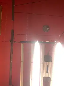 Bigtoyaddict online show from 02-11-26, 12:43