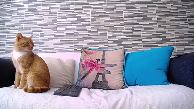 VioletaGomezCo online show from 11-05-25, 04:29