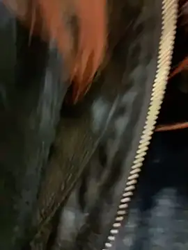 Snapshot of RinaCat chatting on 12-24-24, 08:33 RinaCat online show from 12-24-24, 08:33