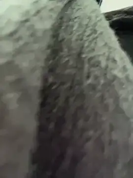 Snapshot of RinaCat chatting on 01-06-25, 05:30 RinaCat online show from 01-06-25, 05:30