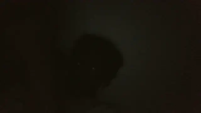 Snapshot of ThatDickSexy2 chatting on 09-15-25, 05:18 ThatDickSexy2 online show from 09-15-25, 05:18