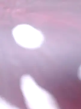 Priya Bong online show from 12-16-25, 02:27