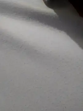 Snapshot of _Miaaleon chatting on 11-16-25, 10:43 Miaaleon online show from 11-16-25, 10:43