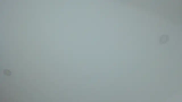 Snapshot of dollface17 chatting on 01-30-25, 11:55 dollface17 online show from 01-30-25, 11:55