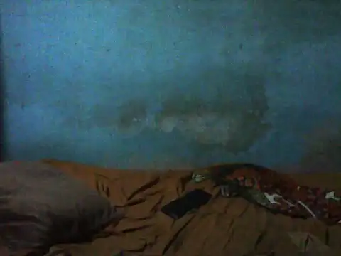 little  joy online show from 11-29-25, 09:18