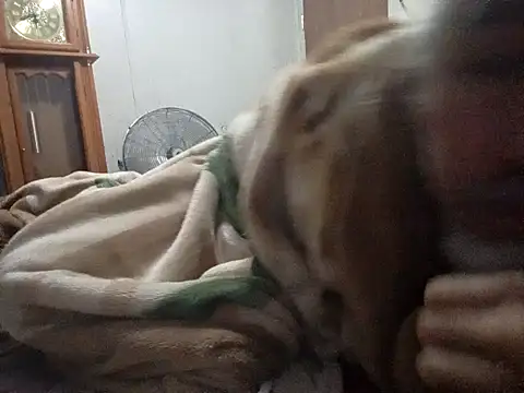 Xoc8  online show from 02-14-26, 09:28