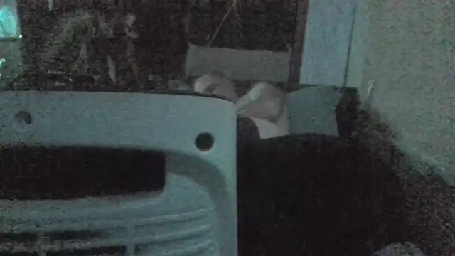 jaxx12369 online show from 02-22-26, 07:01