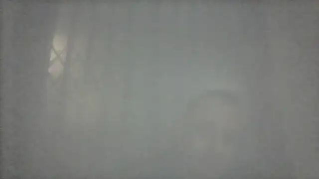 margiale84 online show from 12-12-24, 10:42