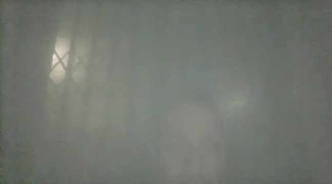 margiale84 online show from 12-19-24, 08:02