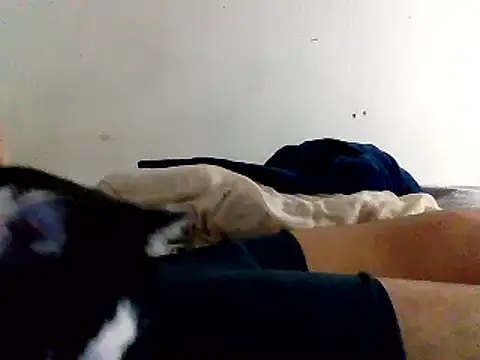 Snapshot of yass56789 chatting on 11-15-25, 11:54 yass56789 online show from 11-15-25, 11:54