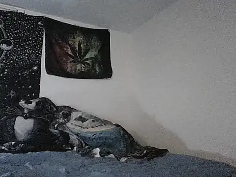 webetokinmo420 online show from 11-29-25, 10:29