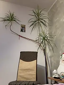 Snapshot of derek1494 chatting on 01-09-26, 09:27 derek1494 online show from 01-09-26, 09:27