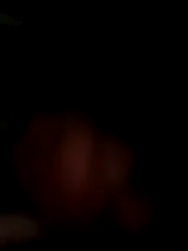 Snapshot of MynameisPaco chatting on 11-11-25, 08:53 MynameisPaco online show from 11-11-25, 08:53