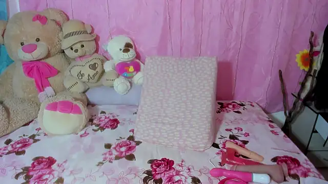 Dana Jeins online show from 11-27-25, 01:13