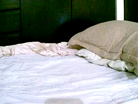 Snapshot of pollarikaaa chatting on 12-07-24, 09:55 pollarikaaa online show from 12-07-24, 09:55