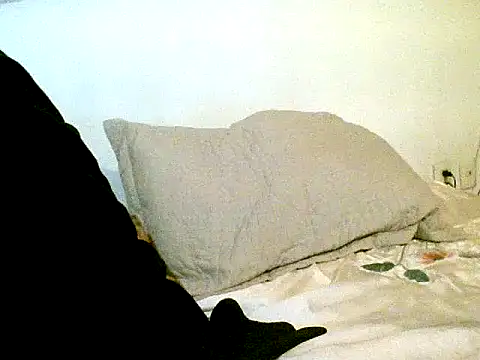 Snapshot of pollarikaaa chatting on 10-14-25, 01:23 pollarikaaa online show from 10-14-25, 01:23