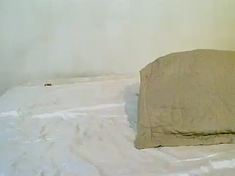 Snapshot of pollarikaaa chatting on 11-10-25, 01:37 pollarikaaa online show from 11-10-25, 01:37