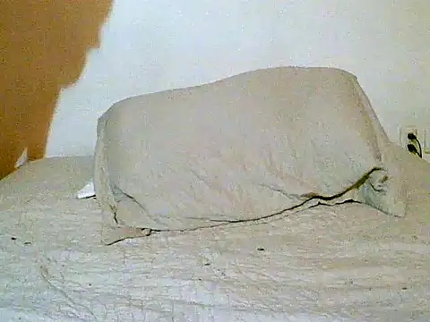 Snapshot of pollarikaaa chatting on 12-14-25, 12:05 pollarikaaa online show from 12-14-25, 12:05