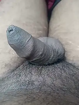 sat 1234 online show from 01-10-25, 03:58