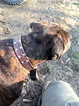 Snapshot of mitulik84 chatting on 12-19-25, 11:50 mitulik84 online show from 12-19-25, 11:50