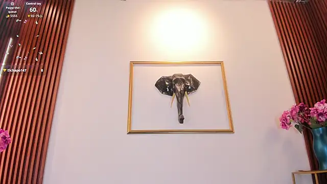 Zayda 1 online show from 02-11-26, 08:14