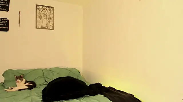 Snapshot of Teo_skinny chatting on 09-13-25, 02:50 Teo skinny online show from 09-13-25, 02:50