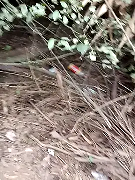 Snapshot of RockyNonStop chatting on 12-24-24, 02:43 RockyNonStop online show from 12-24-24, 02:43