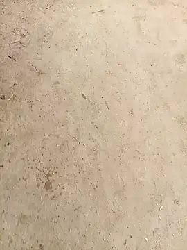 Snapshot of RockyNonStop chatting on 01-03-25, 04:44 RockyNonStop online show from 01-03-25, 04:44