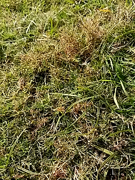 Snapshot of RockyNonStop chatting on 01-18-25, 08:10 RockyNonStop online show from 01-18-25, 08:10