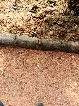 Snapshot of RockyNonStop chatting on 01-19-25, 07:04 RockyNonStop online show from 01-19-25, 07:04