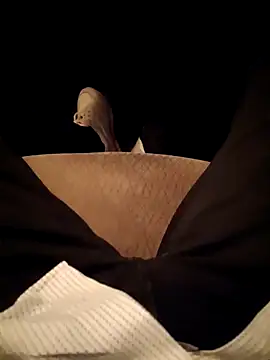 Snapshot of RockyNonStop chatting on 01-29-25, 04:19 RockyNonStop online show from 01-29-25, 04:19