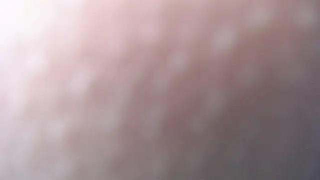 luly pink online show from 12-20-24, 07:22