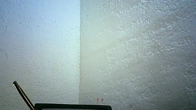 Bellabeltrann online show from 11-30-25, 11:42