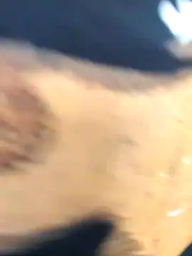 Snapshot of martinna_tay chatting on 03-01-26, 03:19 martinna tay online show from 03-01-26, 03:19