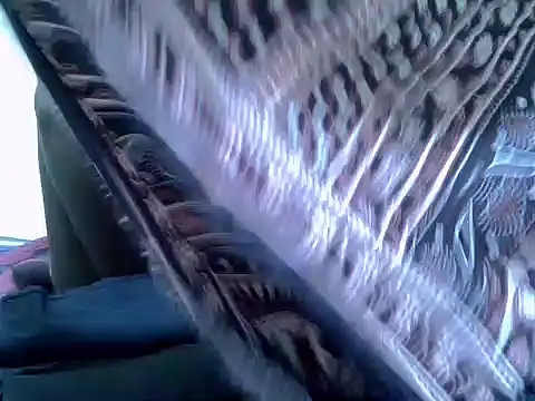 pointy bloom online show from 11-22-25, 03:33