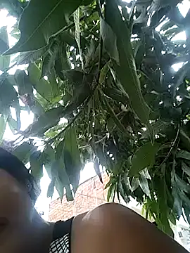 Berry Bans online show from 03-13-25, 08:32