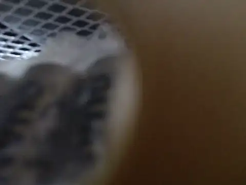 Snapshot of Lovensetest chatting on 10-31-25, 09:10 Lovensetest online show from 10-31-25, 09:10