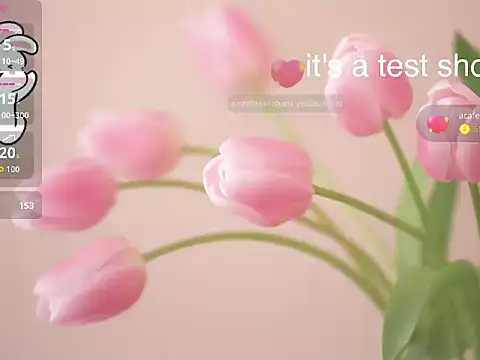 Snapshot of Lovensetest chatting on 11-11-25, 06:35 Lovensetest online show from 11-11-25, 06:35