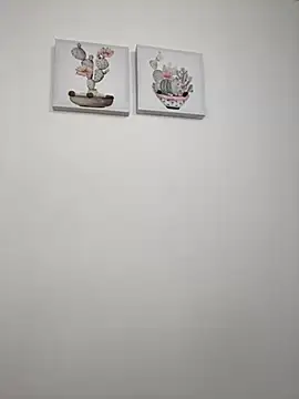 Snapshot of SophiaLaurens chatting on 10-14-25, 01:34 SophiaLaurens online show from 10-14-25, 01:34