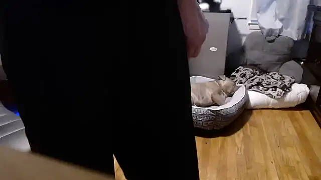 flexingplexico online show from 02-16-26, 10:50