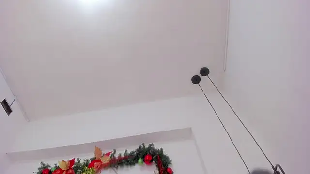 penelope handaos online show from 12-13-24, 09:46