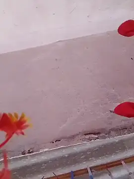 HOTDEEKCHA online show from 03-15-25, 08:58